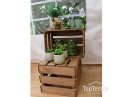 Decoratieset TROPICAL 1